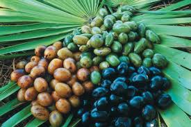 Saw Palmetto - Controindicazioni ed effetti collaterali