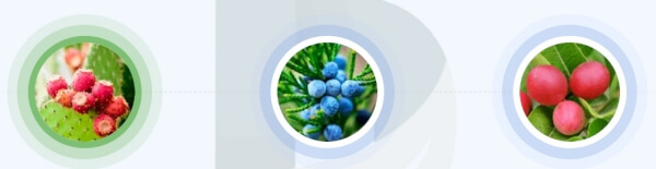 Varydex - ingredienti e composizione