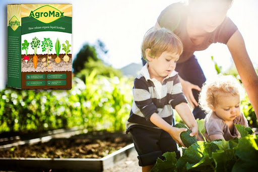 AgroMax - come usare? Applicazione e istruzioni
